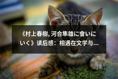 《村上春樹, 河合隼雄に會いにいく》讀后感：相遇在文學與心靈的深處 (850字)