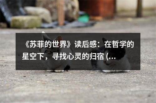 《蘇菲的世界》讀后感：在哲學(xué)的星空下，尋找心靈的歸宿 (750字)