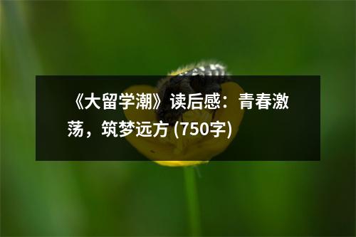 《大留學(xué)潮》讀后感：青春激蕩，筑夢(mèng)遠(yuǎn)方 (750字)