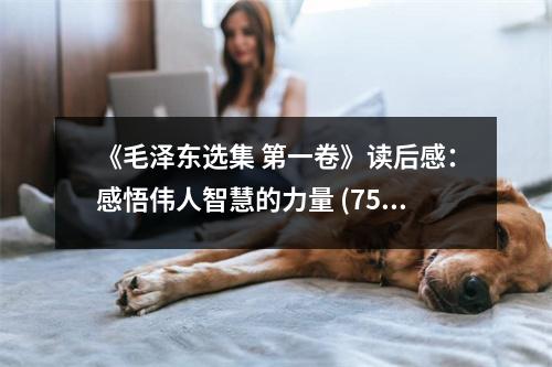 《毛澤東選集 第一卷》讀后感：感悟偉人智慧的力量 (750字)