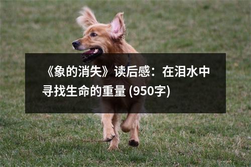 《象的消失》讀后感：在淚水中尋找生命的重量 (950字)