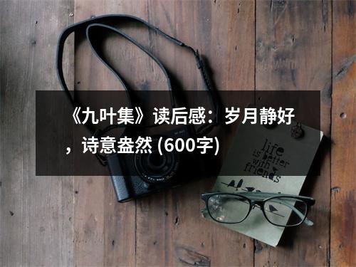 《九葉集》讀后感：歲月靜好，詩意盎然 (600字)