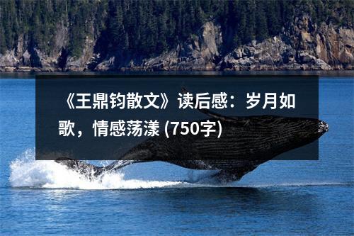 《王鼎鈞散文》讀后感：歲月如歌，情感蕩漾 (750字)