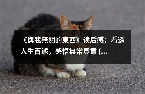 《與我無(wú)關(guān)的東西》讀后感：看透人生百態(tài)，感悟無(wú)常真意 (1000字)