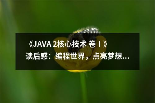 《JAVA 2核心技術(shù) 卷Ⅰ》讀后感：編程世界，點(diǎn)亮夢(mèng)想之燈 (900字)