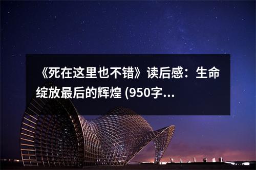 《死在這里也不錯》讀后感：生命綻放最后的輝煌 (950字)