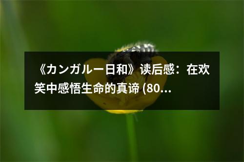 《カンガルー日和》讀后感：在歡笑中感悟生命的真諦 (800字)
