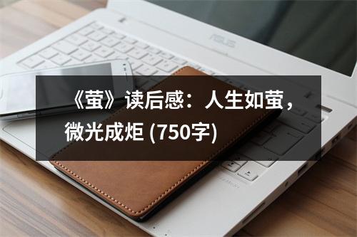 《螢》讀后感：人生如螢，微光成炬 (750字)