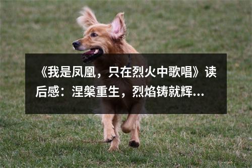 《我是鳳凰，只在烈火中歌唱》讀后感：涅槃重生，烈焰鑄就輝煌 (700字)