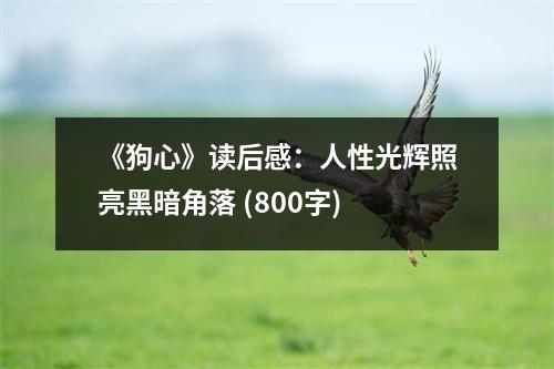 《狗心》讀后感：人性光輝照亮黑暗角落 (800字)