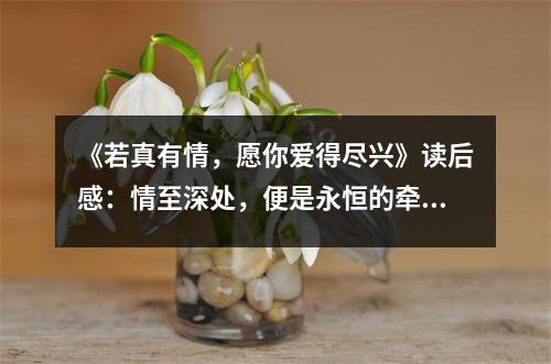 《若真有情，愿你愛得盡興》讀后感：情至深處，便是永恒的牽掛 (750字)