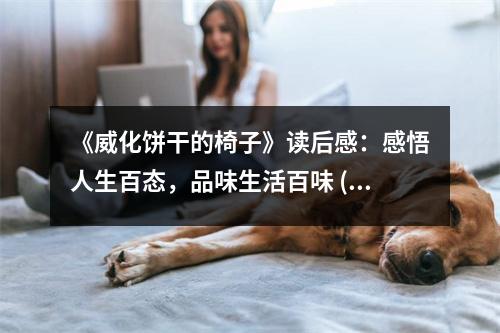《威化餅干的椅子》讀后感：感悟人生百態(tài)，品味生活百味 (750字)