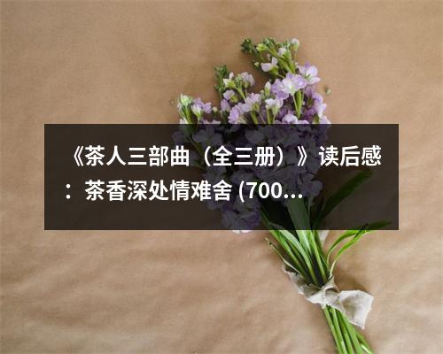 《茶人三部曲（全三冊）》讀后感：茶香深處情難舍 (700字)