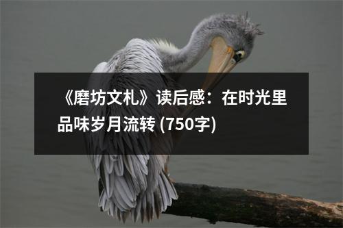 《磨坊文札》讀后感：在時光里品味歲月流轉(zhuǎn) (750字)