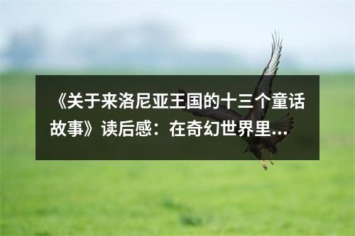 《關(guān)于來洛尼亞王國的十三個童話故事》讀后感：在奇幻世界里感受純真與希望 (800字)