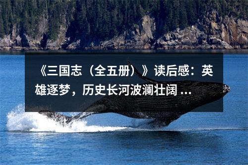 《三國志（全五冊）》讀后感：英雄逐夢，歷史長河波瀾壯闊 (700字)