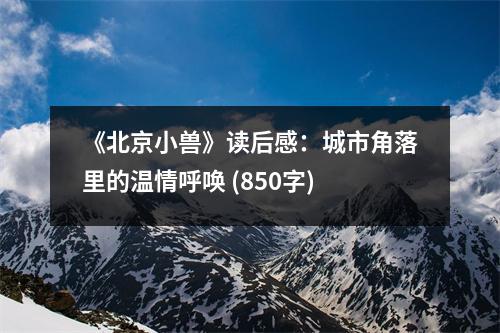 《北京小獸》讀后感：城市角落里的溫情呼喚 (850字)