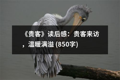 《貴客》讀后感：貴客來(lái)訪，溫暖滿溢 (850字)