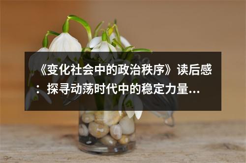 《變化社會(huì)中的政治秩序》讀后感：探尋動(dòng)蕩時(shí)代中的穩(wěn)定力量 (700字)