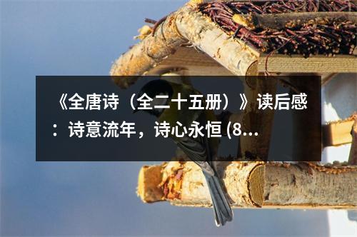 《全唐詩（全二十五冊(cè)）》讀后感：詩意流年，詩心永恒 (800字)