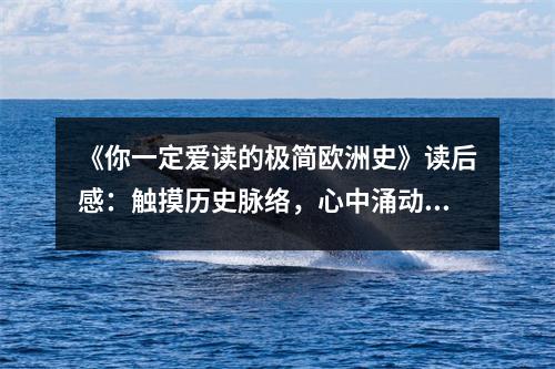 《你一定愛讀的極簡歐洲史》讀后感：觸摸歷史脈絡(luò)，心中涌動暖流 (900字)