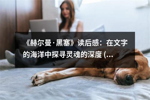 《赫爾曼·黑塞》讀后感：在文字的海洋中探尋靈魂的深度 (800字)