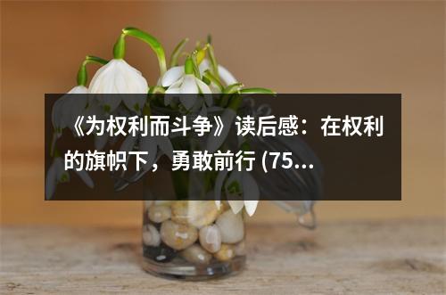 《為權(quán)利而斗爭》讀后感：在權(quán)利的旗幟下，勇敢前行 (750字)