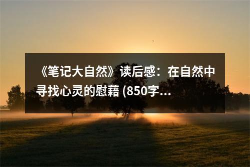 《筆記大自然》讀后感：在自然中尋找心靈的慰藉 (850字)