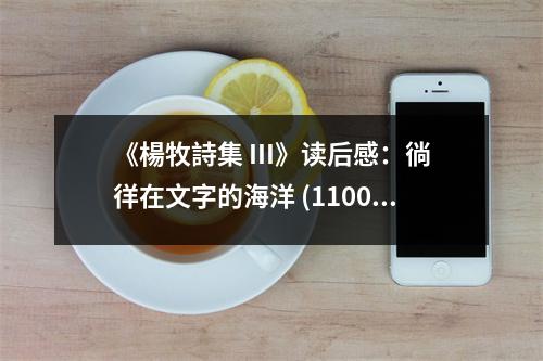 《楊牧詩集 III》讀后感：徜徉在文字的海洋 (1100字)