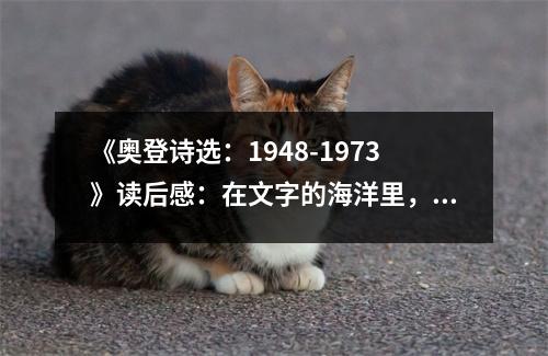 《奧登詩(shī)選：1948-1973》讀后感：在文字的海洋里，靈魂共鳴不息 (900字)