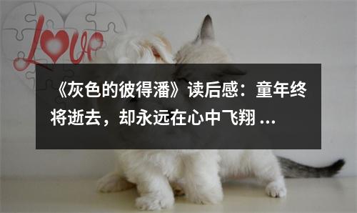 《灰色的彼得潘》讀后感：童年終將逝去，卻永遠在心中飛翔 (850字)