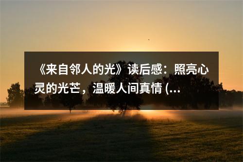 《來(lái)自鄰人的光》讀后感：照亮心靈的光芒，溫暖人間真情 (650字)