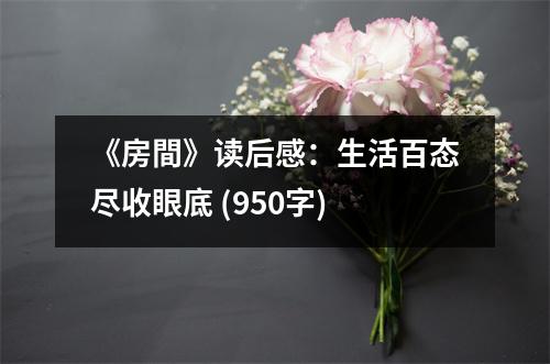 《房間》讀后感：生活百態(tài)盡收眼底 (950字)