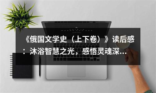 《俄國文學(xué)史（上下卷）》讀后感：沐浴智慧之光，感悟靈魂深處 (1000字)