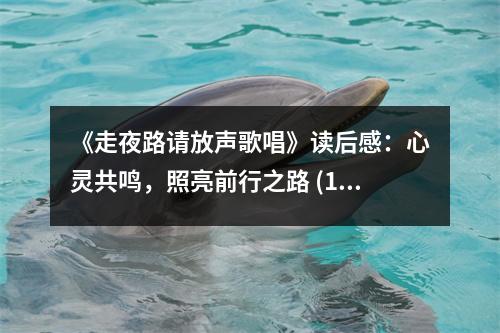 《走夜路請放聲歌唱》讀后感：心靈共鳴，照亮前行之路 (1150字)