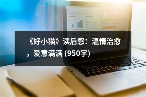 《好小貓》讀后感：溫情治愈，愛意滿滿 (950字)
