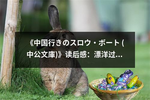 《中國行きのスロウ?ボート (中公文庫)》讀后感：漂洋過海，尋覓故土 (950字)