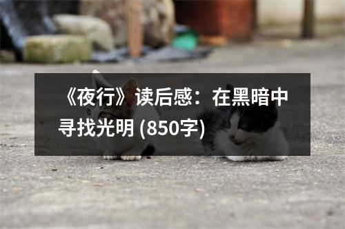 《夜行》讀后感：在黑暗中尋找光明 (850字)