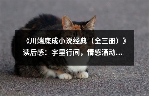 《川端康成小說經(jīng)典（全三冊(cè)）》讀后感：字里行間，情感涌動(dòng)如春水 (850字)