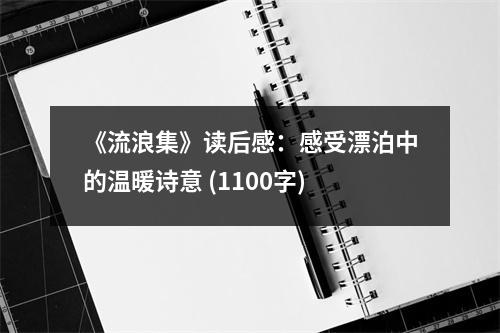 《流浪集》讀后感：感受漂泊中的溫暖詩(shī)意 (1100字)