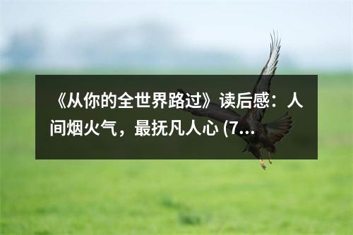 《從你的全世界路過》讀后感：人間煙火氣，最撫凡人心 (700字)