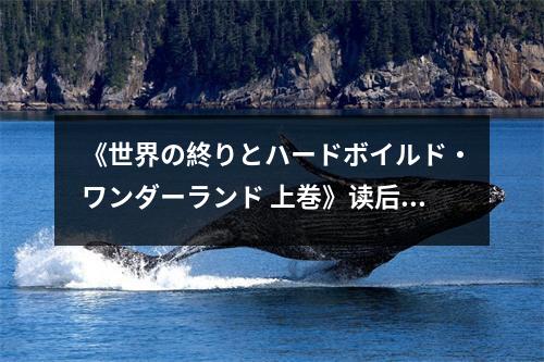 《世界の終りとハードボイルド?ワンダーランド 上巻》讀后感：在荒野中尋找光明 (1000字)