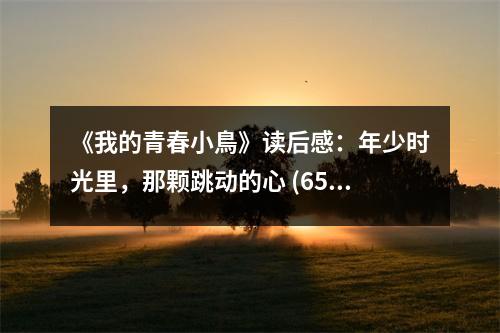 《我的青春小鳥(niǎo)》讀后感：年少時(shí)光里，那顆跳動(dòng)的心 (650字)