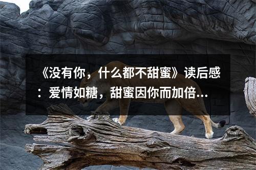 《沒有你，什么都不甜蜜》讀后感：愛情如糖，甜蜜因你而加倍 (700字)