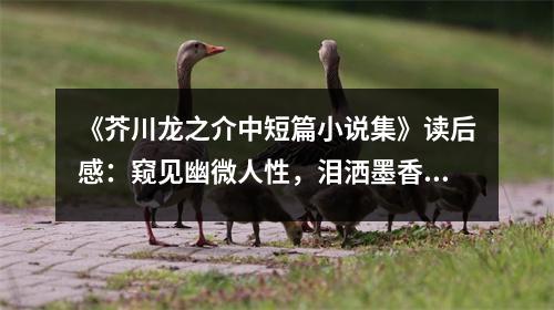 《芥川龍之介中短篇小說集》讀后感：窺見幽微人性，淚灑墨香深處 (800字)