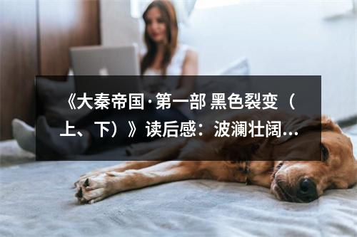 《大秦帝國·第一部 黑色裂變（上、下）》讀后感：波瀾壯闊見證英雄路 (1050字)