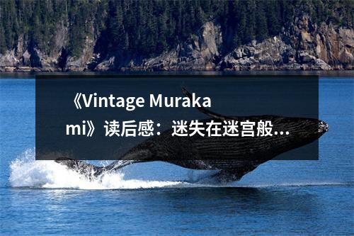 《Vintage Murakami》讀后感：迷失在迷宮般的夢境 (900字)