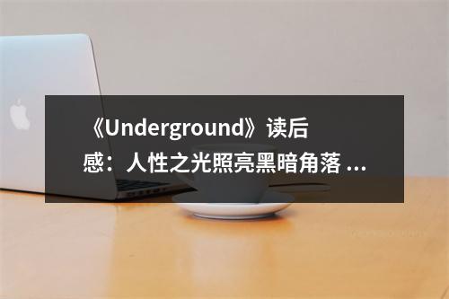 《Underground》讀后感：人性之光照亮黑暗角落 (700字)