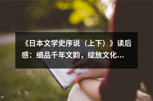 《日本文學(xué)史序說(shuō)（上下）》讀后感：細(xì)品千年文韻，綻放文化瑰寶 (1250字)