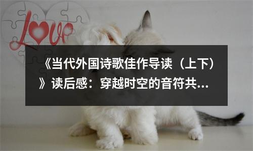 《當(dāng)代外國詩歌佳作導(dǎo)讀（上下）》讀后感：穿越時空的音符共鳴 (750字)